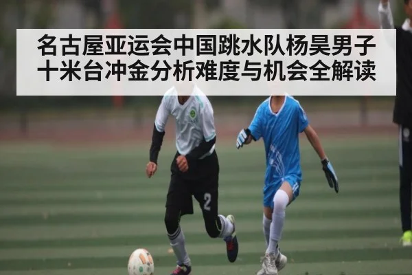 名古屋亚运会中国跳水队杨昊男子十米台冲金分析难度与机会全解读